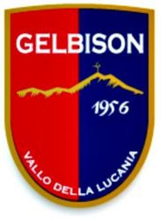 Vallo della Lucania Gelbison Logo