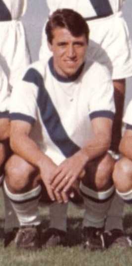 angelino rosa