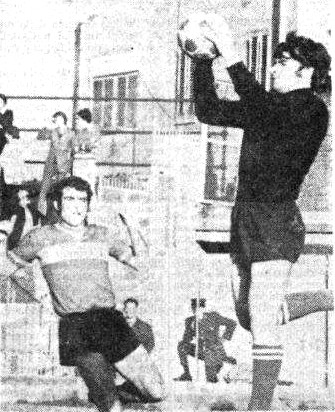 bertonelli 1971