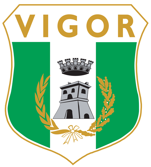 logo vigor lamezia